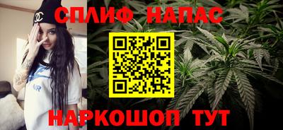 прущие грибы Ливны
