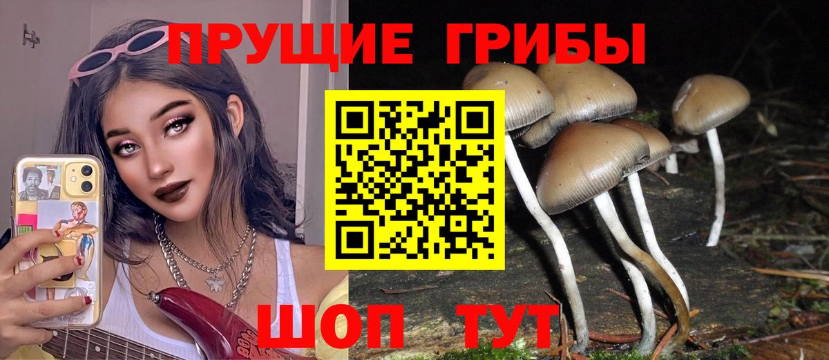 Дивногорск  Псилоцибиновые грибы GOLDEN TEACHER  Галлюциногенные грибы мицелий  Вход с VPN 