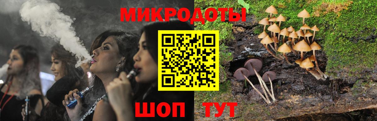 Галлюциногенные грибы Cubensis Дивногорск